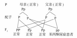 僵尸情人节 推荐视频
