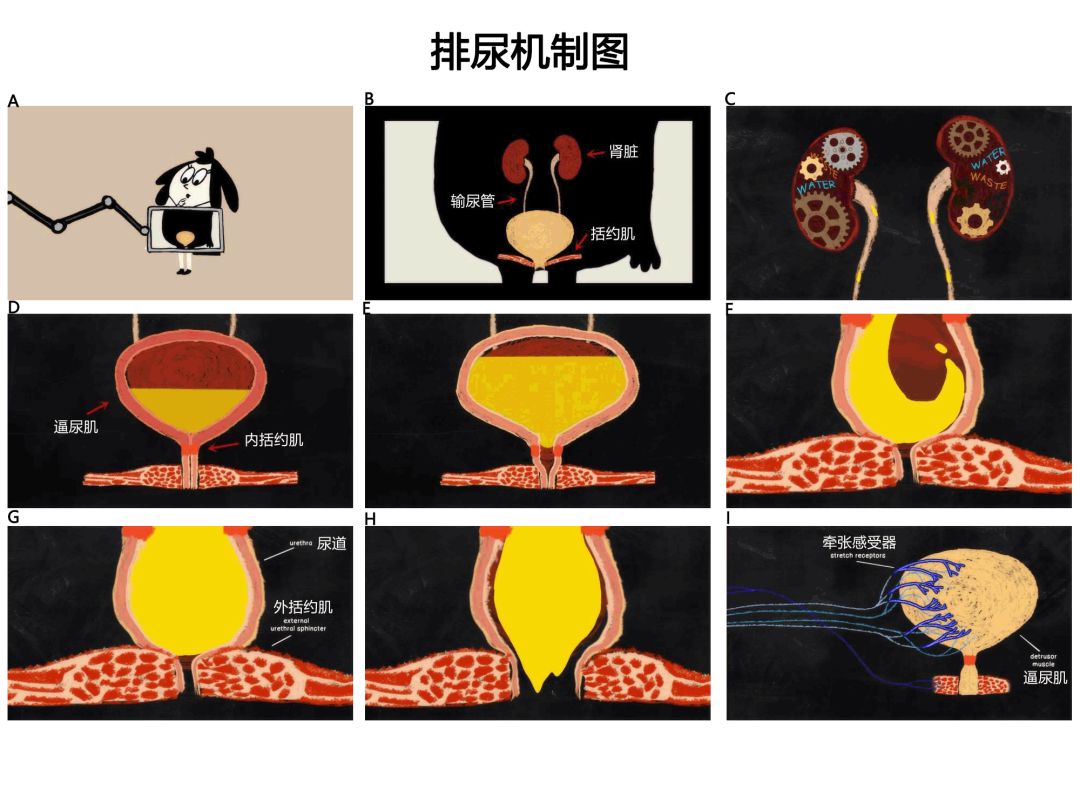 僵尸情人节 推荐视频