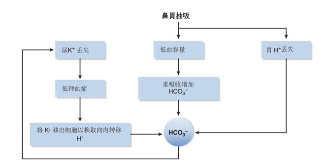 喜马拉雅 产品图片
