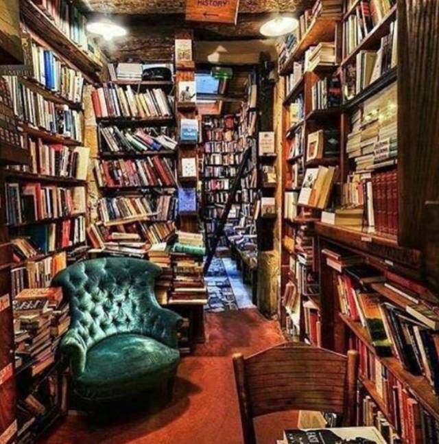 从暗处来 推荐视频