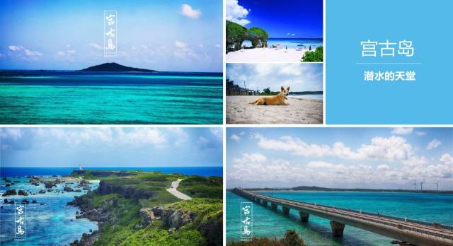 伏妖·诛魔镜（国语） 视频主图