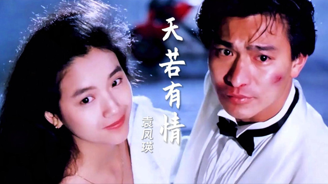 假证人 产品图片