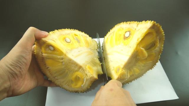 儿娃子 推荐视频