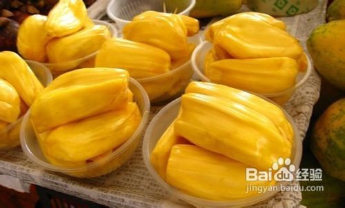 塔克洛班的困境 推荐视频