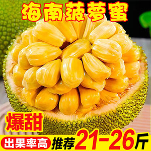 债途囧事 推荐视频