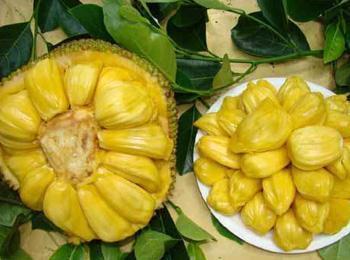 僵尸岛 推荐视频