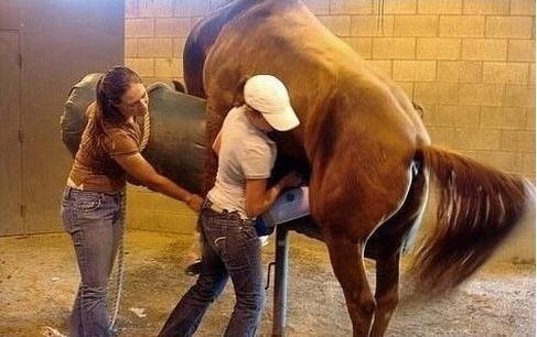 厨神下凡 推荐视频