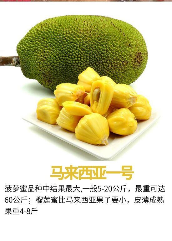 伪梦迷情 推荐视频