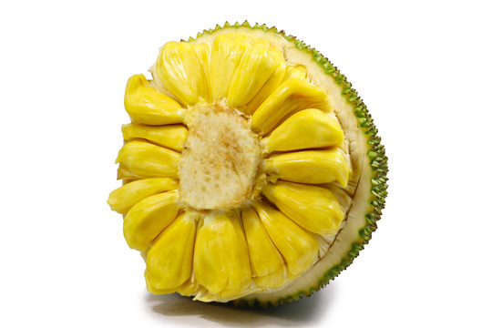 以我儿子的名义