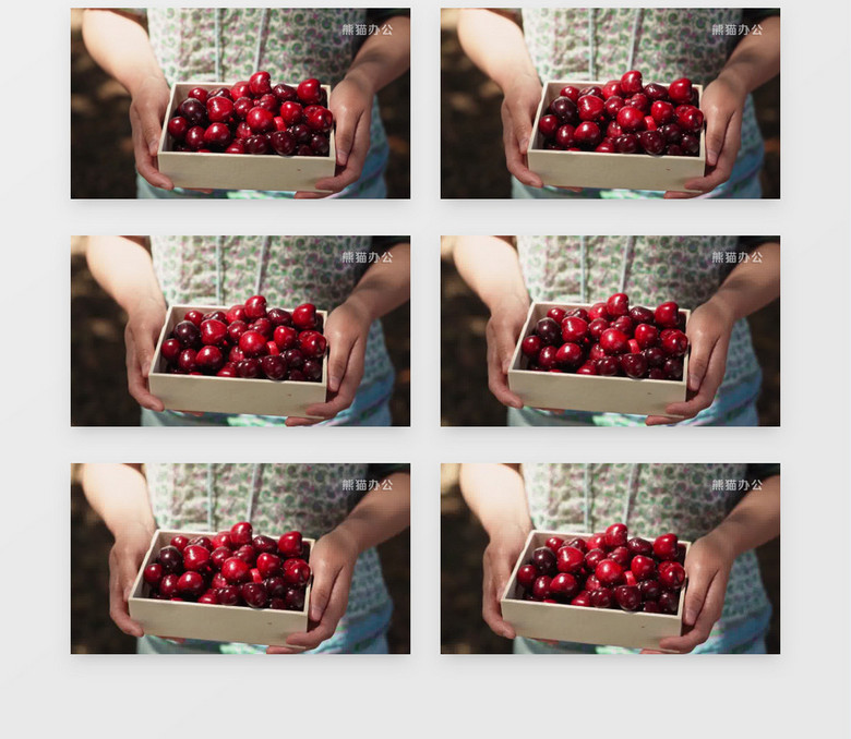 停战以后 推荐视频