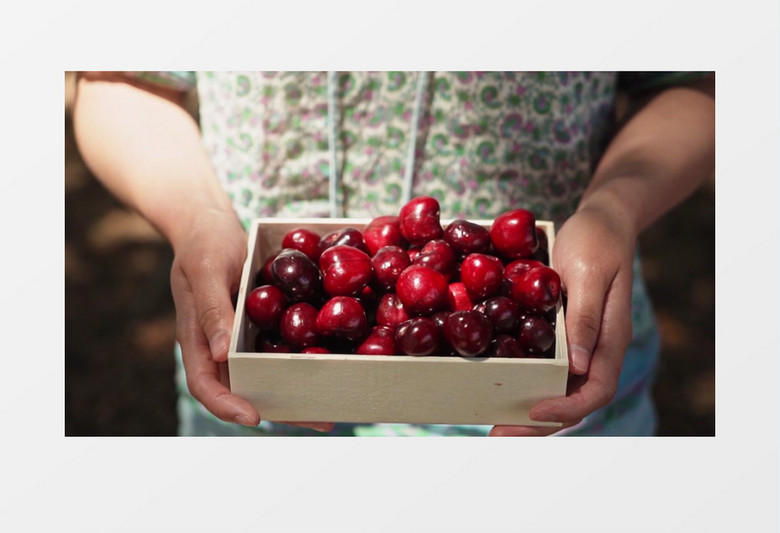 原振侠与卫斯理 推荐视频