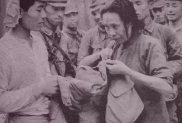 倩狐之妖乱青华