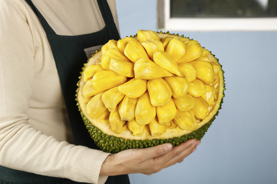 凶恶谢幕 视频主图