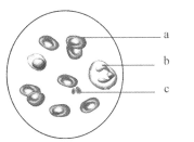 偷破天际线 推荐视频