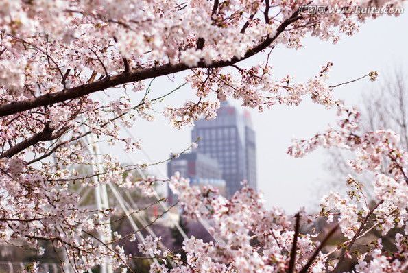 倾听我的声音 视频主图