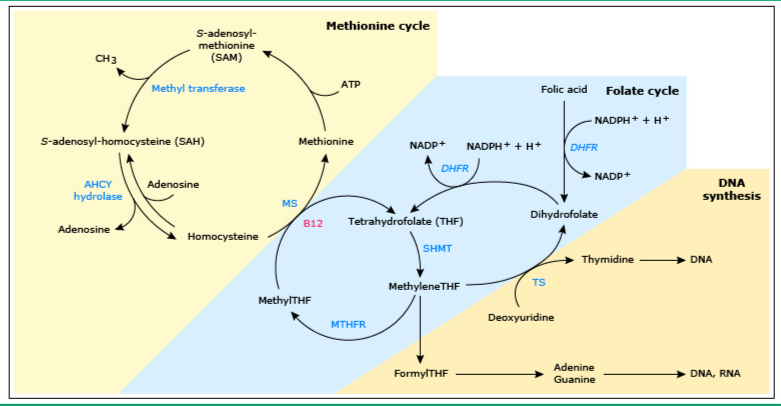 低俗青春 视频主图