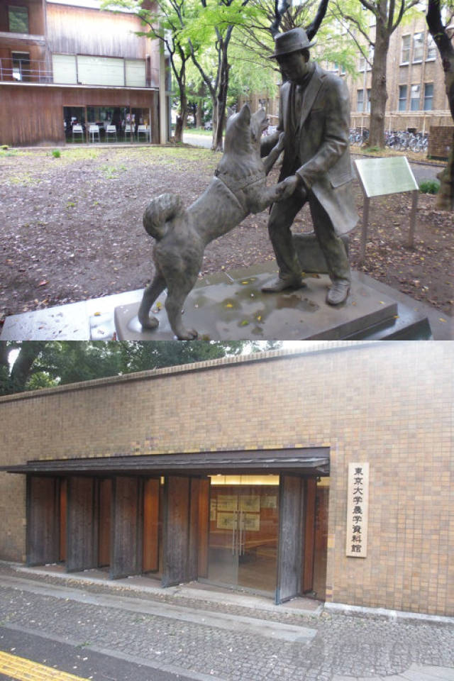 圣战少女 推荐视频