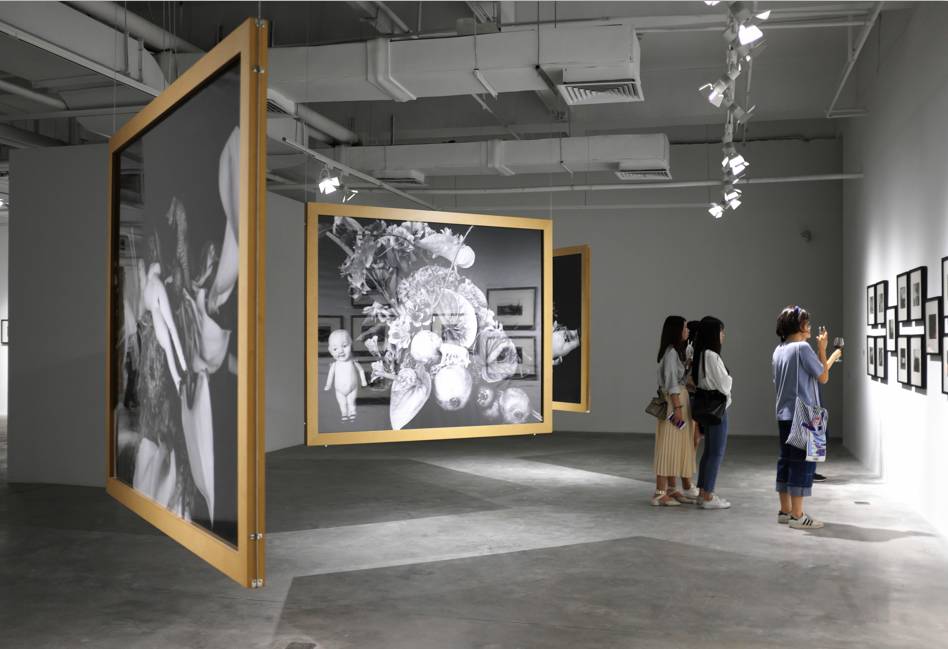 似水流年 推荐视频