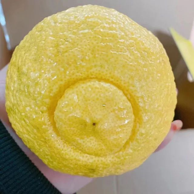 他喜欢的是你 产品图片