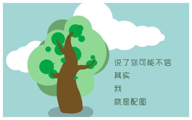 佳酿之恋 视频主图