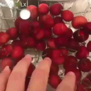 古戒奇谈 推荐视频