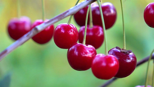 危险水域 产品图片