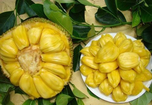 代号：皇帝 推荐视频