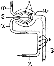 只差一个你 产品图片