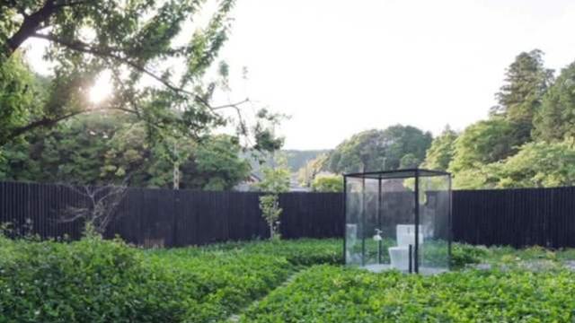 又见牡丹亭 推荐视频