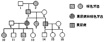 从伦敦到布莱顿 产品图片