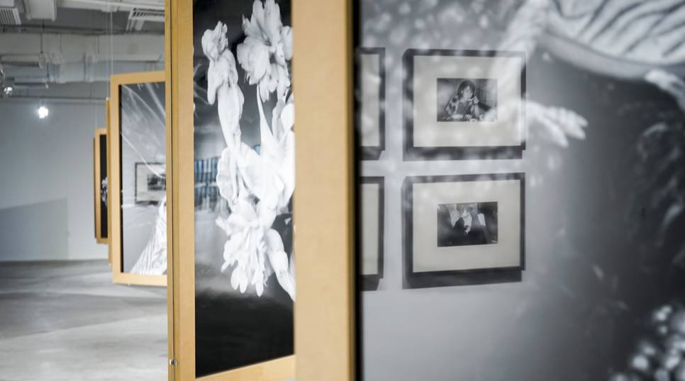 传宗接代 产品图片