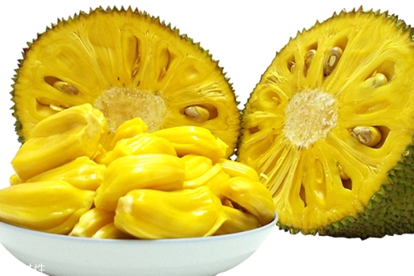 仇杀病房 推荐视频