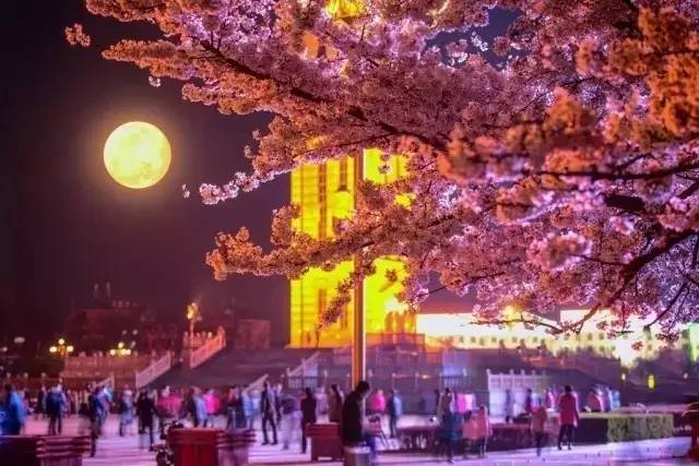 停战以后 推荐视频