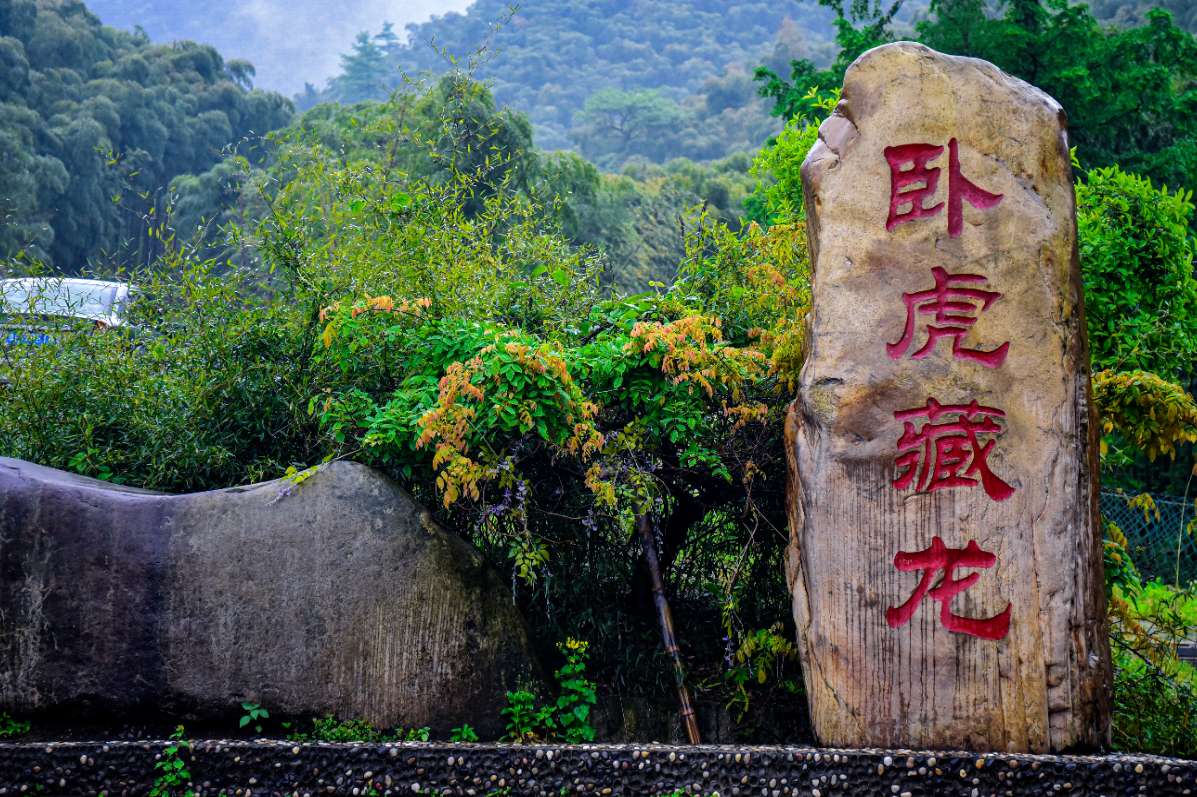 保姆之死 推荐视频