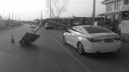 农场小牛牛：偷拍风波 推荐视频