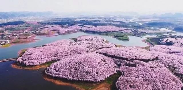 夕照街 推荐视频