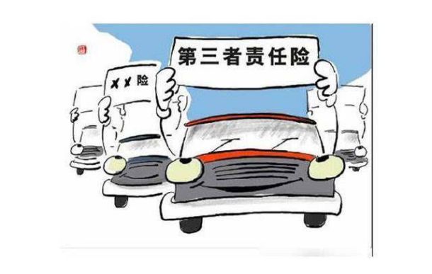 儿子、孙子和种子 产品图片