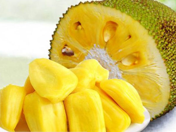 你往哪里跑 推荐视频