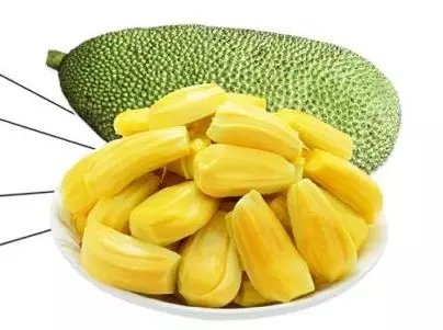 后裔3 视频封面