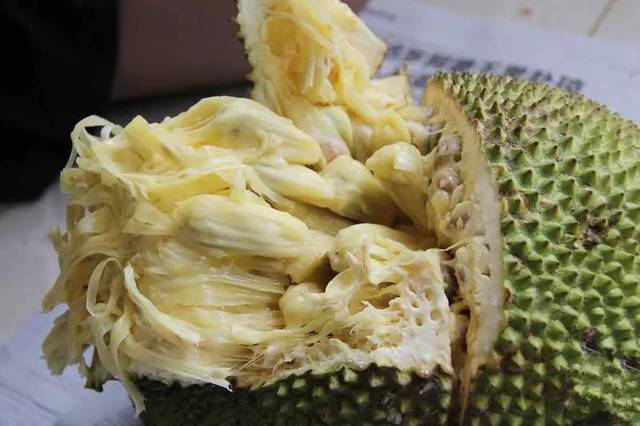 你口袋里有把枪吗？ 推荐视频