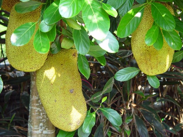 佳人蓓尔 推荐视频