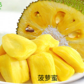 伊娜：初生之犊 推荐视频