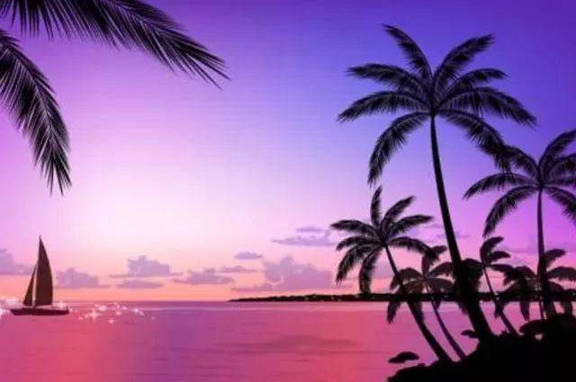 传染病 推荐视频