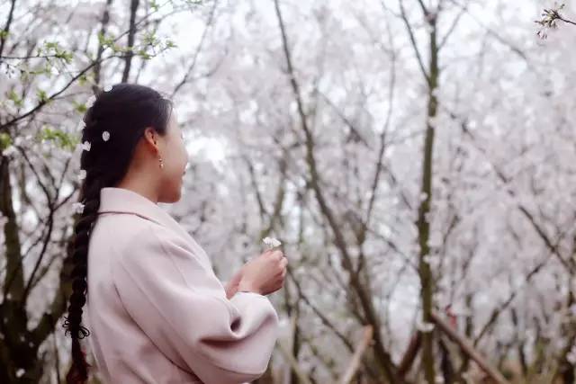 侠士行 推荐视频