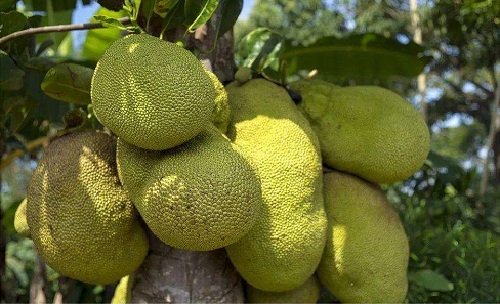 侠骨仁心（国语版） 推荐视频