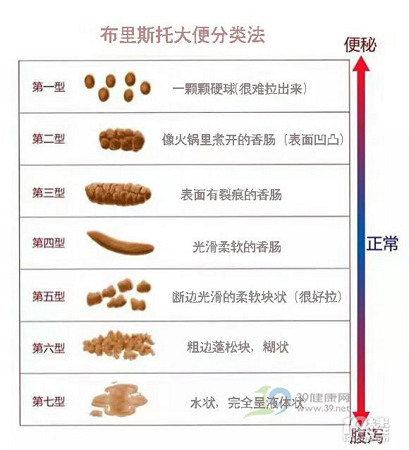 城市猎人：新宿 视频封面