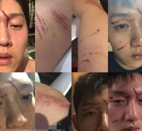 再见，残酷的世界 推荐视频