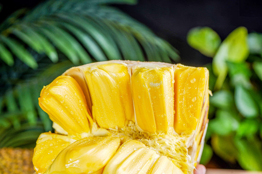 写在大地上的诗 推荐视频