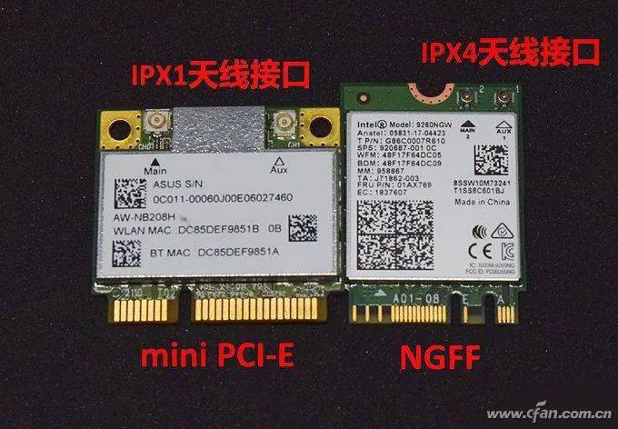 保姆之死 产品图片