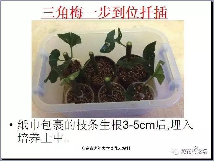 你是我兄弟之牌王 推荐视频